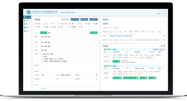 中医辨证论治智能辅助诊疗系统