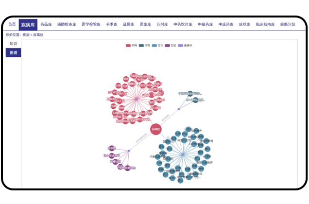 数据可视化展示，助力用户直观理解医学知识体系。